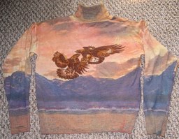 Faded Glory Hawks Print: garment designed by Michael Elkan